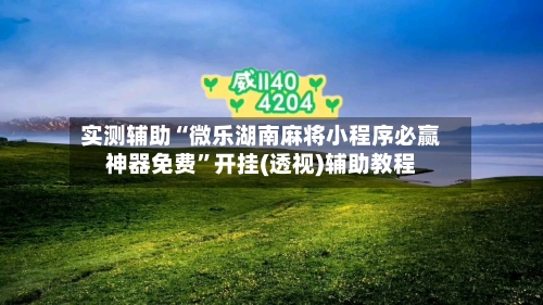 实测辅助“微乐湖南麻将小程序必赢神器免费	”开挂(透视)辅助教程-第3张图片