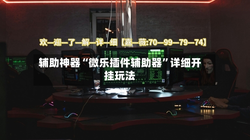 辅助神器“微乐插件辅助器	”详细开挂玩法-第2张图片