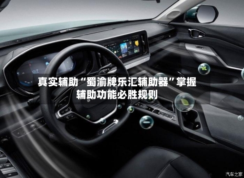 真实辅助“蜀渝牌乐汇辅助器”掌握辅助功能必胜规则-第1张图片