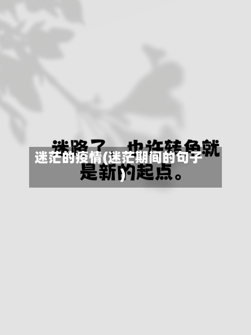 迷茫的疫情(迷茫期间的句子)-第2张图片