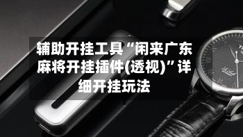 辅助开挂工具“闲来广东麻将开挂插件(透视)”详细开挂玩法-第3张图片