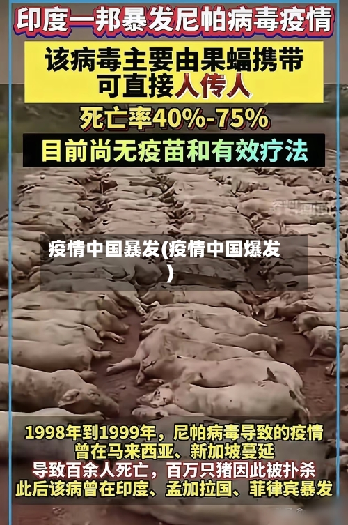 疫情中国暴发(疫情中国爆发)-第1张图片