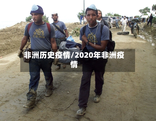 非洲历史疫情/2020年非洲疫情-第2张图片