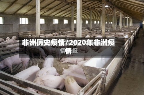 非洲历史疫情/2020年非洲疫情-第1张图片