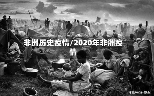 非洲历史疫情/2020年非洲疫情-第3张图片