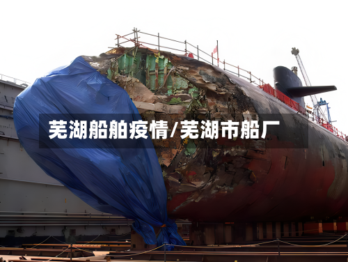 芜湖船舶疫情/芜湖市船厂-第3张图片