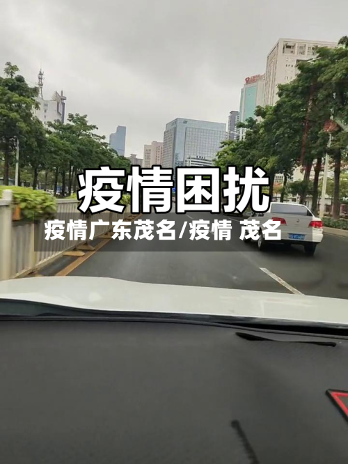 疫情广东茂名/疫情 茂名-第2张图片