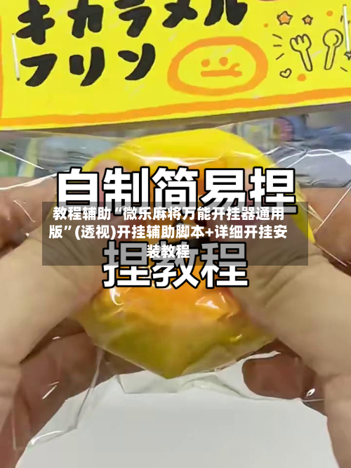 教程辅助“微乐麻将万能开挂器通用版”(透视)开挂辅助脚本+详细开挂安装教程-第2张图片