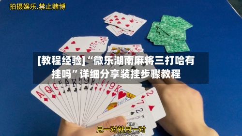 [教程经验]“微乐湖南麻将三打哈有挂吗”详细分享装挂步骤教程-第2张图片