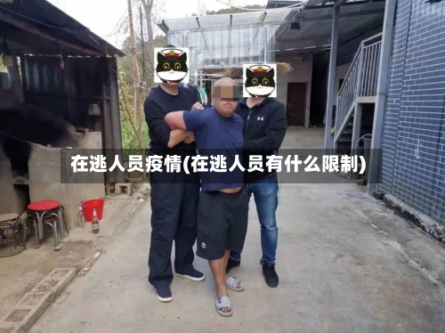 在逃人员疫情(在逃人员有什么限制)-第1张图片
