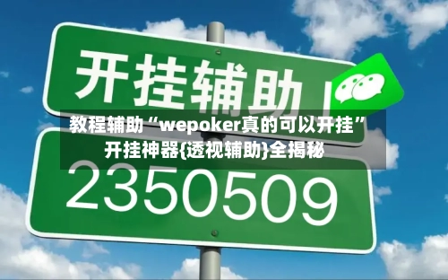 教程辅助“wepoker真的可以开挂”开挂神器{透视辅助}全揭秘-第2张图片