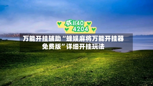 万能开挂辅助“蜂娱麻将万能开挂器免费版	”详细开挂玩法-第2张图片
