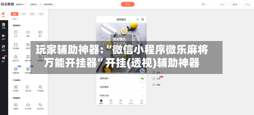 玩家辅助神器:“微信小程序微乐麻将万能开挂器”开挂(透视)辅助神器-第1张图片