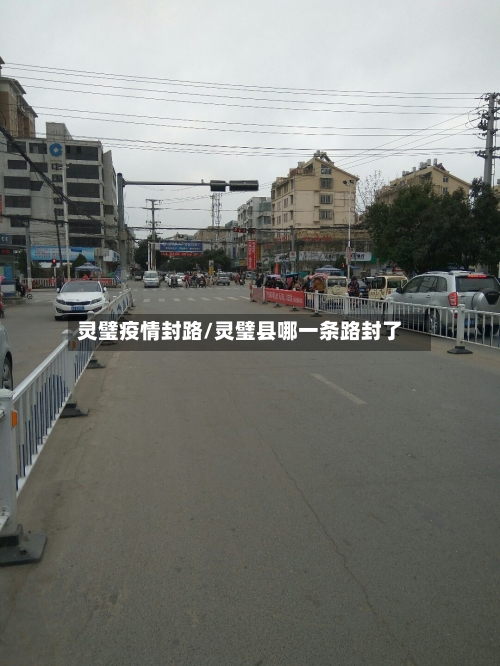 灵璧疫情封路/灵璧县哪一条路封了-第1张图片