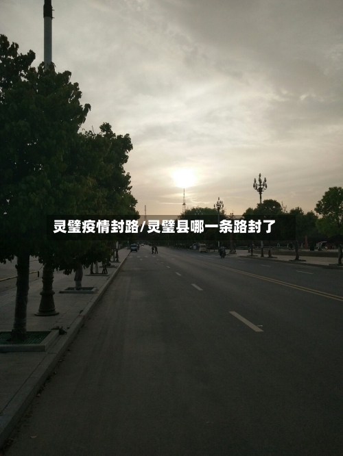 灵璧疫情封路/灵璧县哪一条路封了-第2张图片