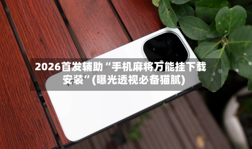 2026首发辅助“手机麻将万能挂下载安装	”(曝光透视必备猫腻)-第1张图片