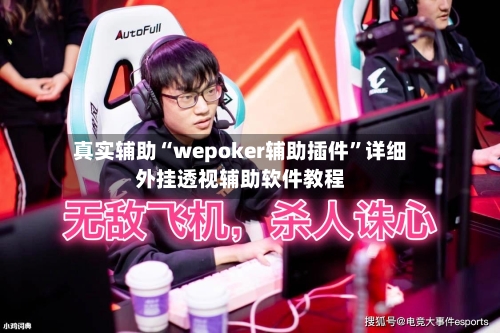 真实辅助“wepoker辅助插件”详细外挂透视辅助软件教程-第2张图片