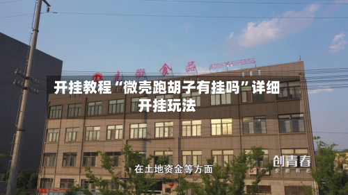 开挂教程“微壳跑胡子有挂吗”详细开挂玩法-第1张图片