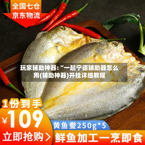 玩家辅助神器:“一起宁德辅助器怎么用(辅助神器)开挂详细教程-第1张图片