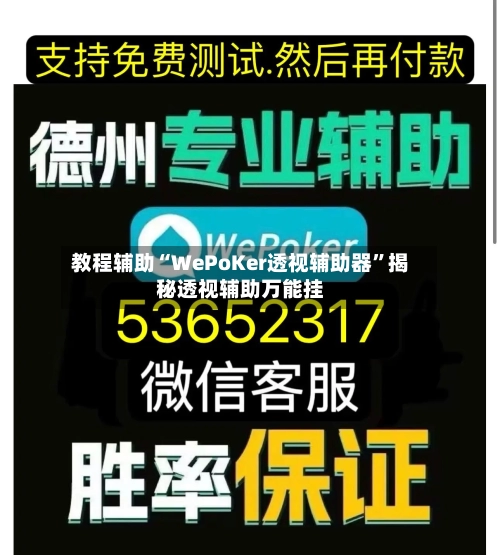 教程辅助“WePoKer透视辅助器”揭秘透视辅助万能挂-第3张图片