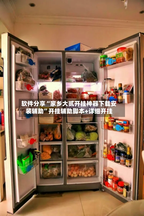 软件分享“家乡大贰开挂神器下载安装辅助	”开挂辅助脚本+详细开挂-第1张图片