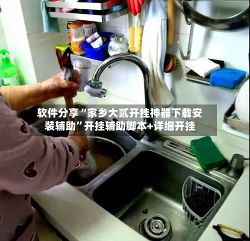 软件分享“家乡大贰开挂神器下载安装辅助”开挂辅助脚本+详细开挂-第3张图片