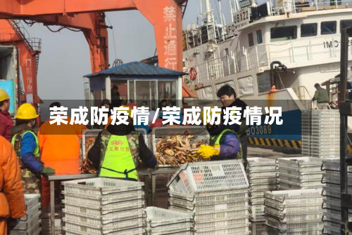荣成防疫情/荣成防疫情况-第3张图片