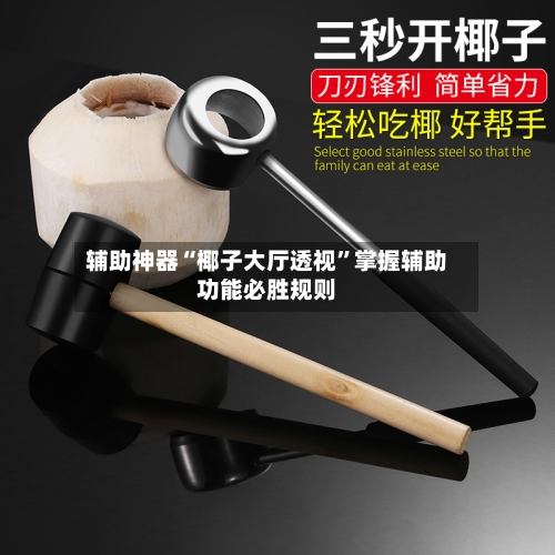 辅助神器“椰子大厅透视	”掌握辅助功能必胜规则-第2张图片