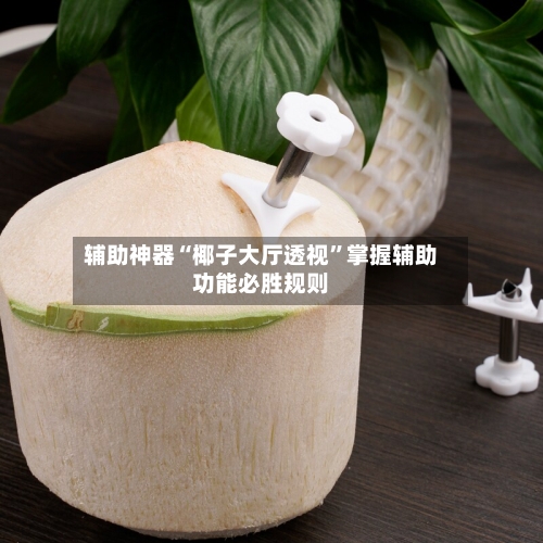 辅助神器“椰子大厅透视”掌握辅助功能必胜规则-第1张图片