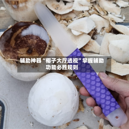 辅助神器“椰子大厅透视”掌握辅助功能必胜规则-第3张图片