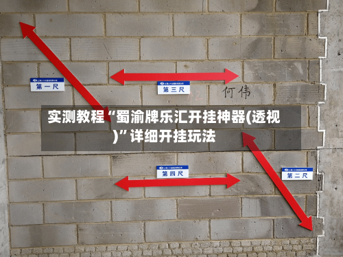 实测教程“蜀渝牌乐汇开挂神器(透视)”详细开挂玩法-第2张图片