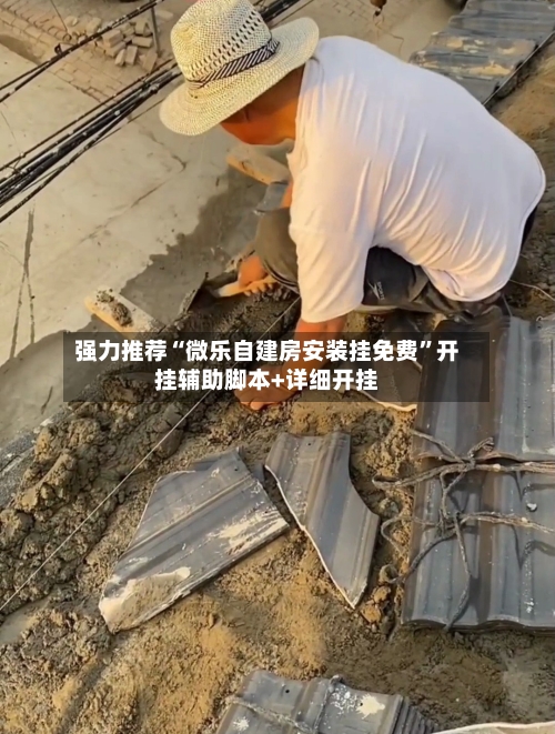 强力推荐“微乐自建房安装挂免费”开挂辅助脚本+详细开挂-第1张图片