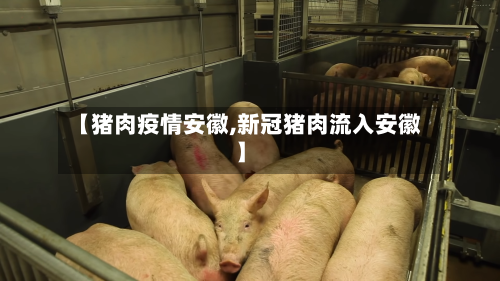 【猪肉疫情安徽,新冠猪肉流入安徽】-第1张图片