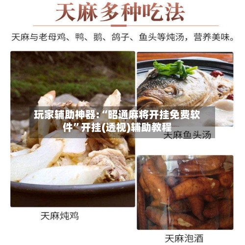 玩家辅助神器:“昭通麻将开挂免费软件	”开挂(透视)辅助教程-第1张图片