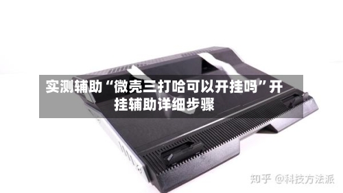 实测辅助“微壳三打哈可以开挂吗	”开挂辅助详细步骤-第2张图片