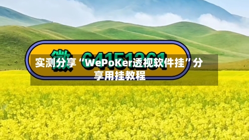 实测分享“WePoKer透视软件挂”分享用挂教程-第1张图片