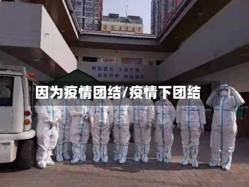 因为疫情团结/疫情下团结-第1张图片