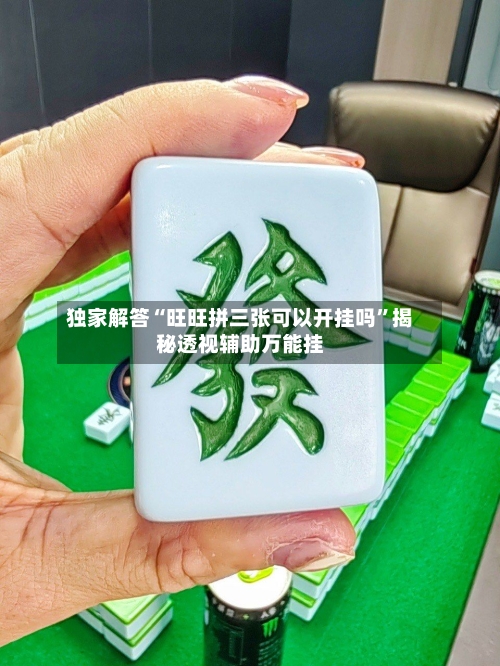 独家解答“旺旺拼三张可以开挂吗	”揭秘透视辅助万能挂-第2张图片