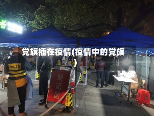 党旗插在疫情(疫情中的党旗)-第2张图片