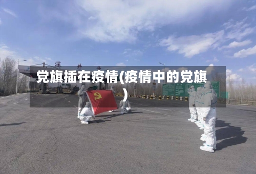 党旗插在疫情(疫情中的党旗)-第1张图片
