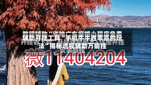 辅助开挂工具“手机牛牛胜率高的玩法”揭秘透视辅助万能挂-第3张图片