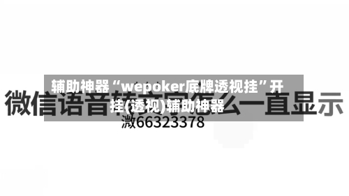 辅助神器“wepoker底牌透视挂”开挂(透视)辅助神器-第2张图片