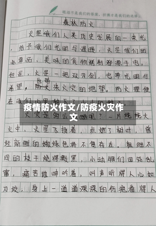疫情防火作文/防疫火灾作文-第2张图片