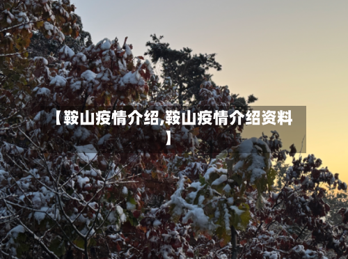 【鞍山疫情介绍,鞍山疫情介绍资料】-第2张图片