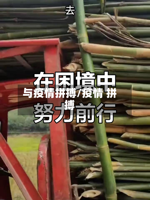 与疫情拼搏/疫情 拼搏-第2张图片