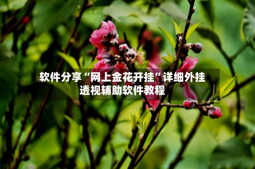 软件分享“网上金花开挂	”详细外挂透视辅助软件教程-第1张图片