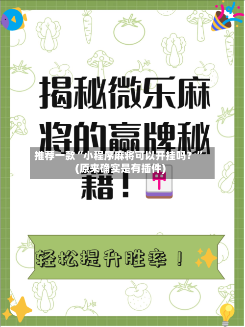 推荐一款“小程序麻将可以开挂吗？”(原来确实是有插件)-第1张图片