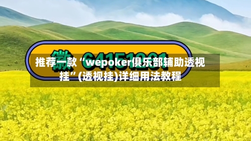 推荐一款“wepoker俱乐部辅助透视挂”(透视挂)详细用法教程-第2张图片