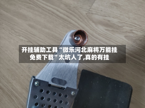 开挂辅助工具“微乐河北麻将万能挂免费下载	”太坑人了,真的有挂-第1张图片