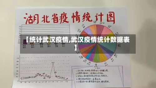 【统计武汉疫情,武汉疫情统计数据表】-第1张图片